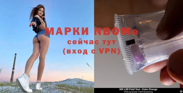 гашик Михайлов