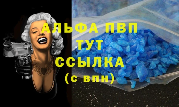гашик Михайлов